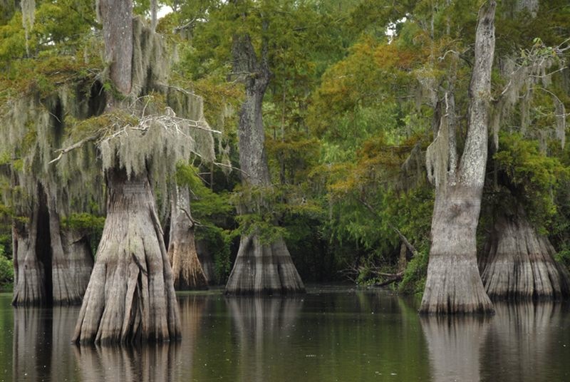 Pascagoula